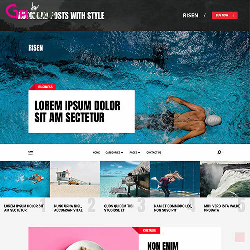 MyThemeShop Risen WordPress Theme